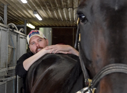 Daniel Redén och Don Fanucci Zet i stallet. Arkivbild. Foto: Lars Jakobsson, TR Bild 